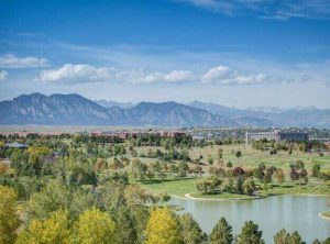 Movers Broomfield CO