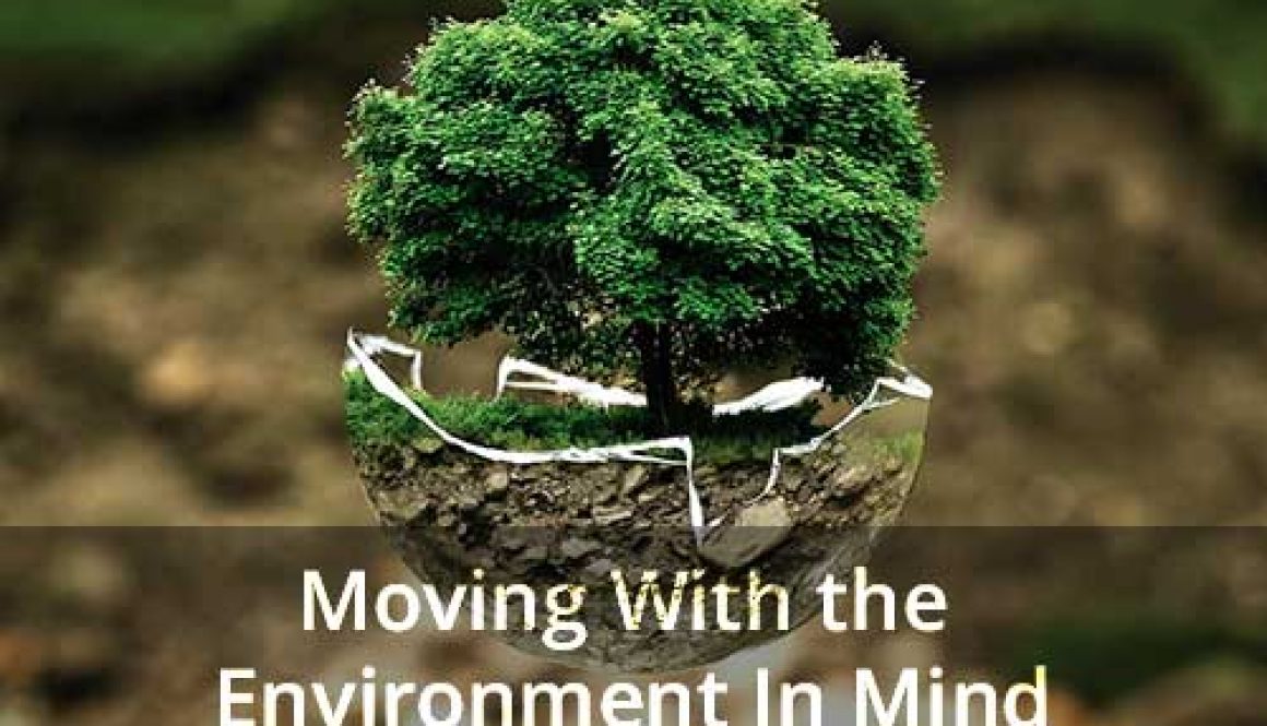 The environment and moving process